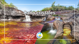 Caño Cristales