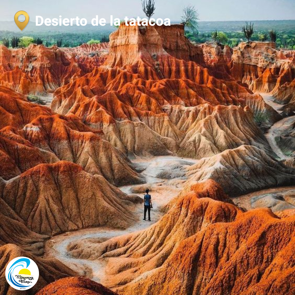 Desierto de la tatacoa y avistamiento de estrellas - Imagen 2